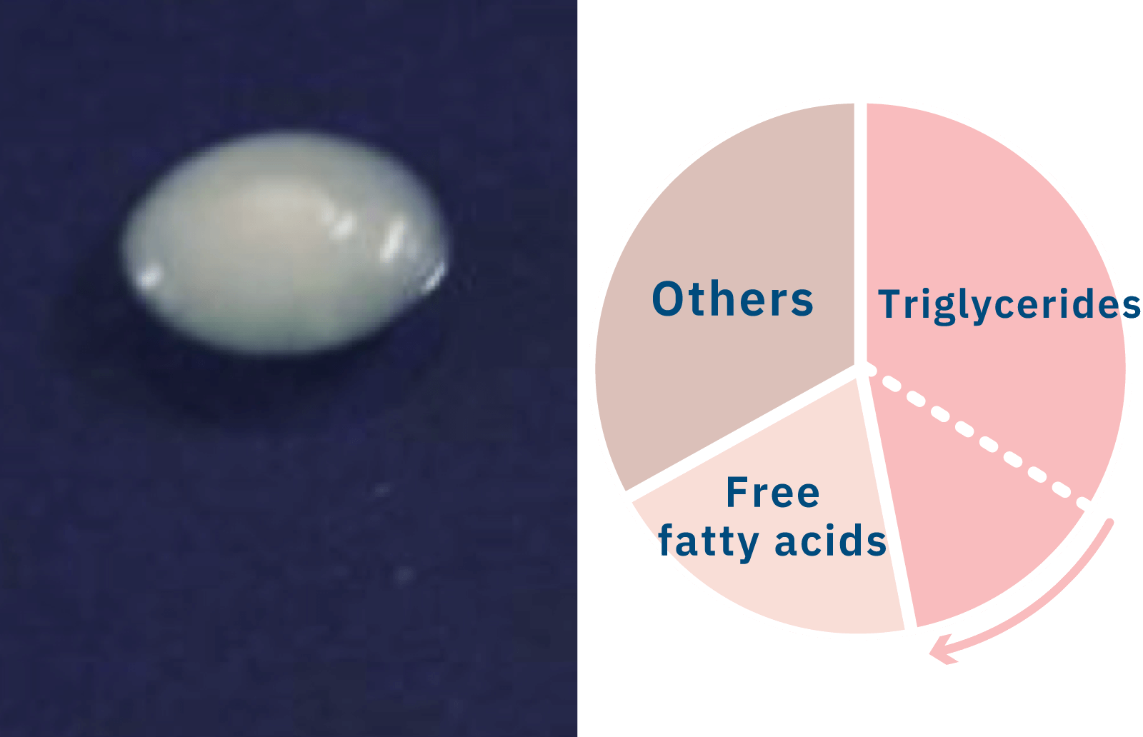 Photo of scalp fat and component balance of Middle-aged Men