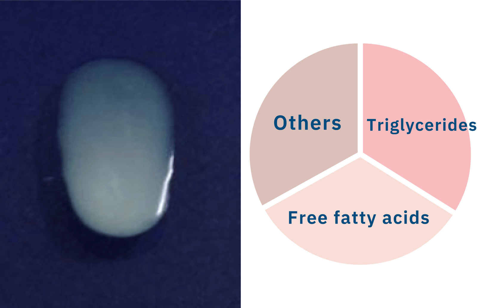 Photo of scalp fat and component balance of Young Men