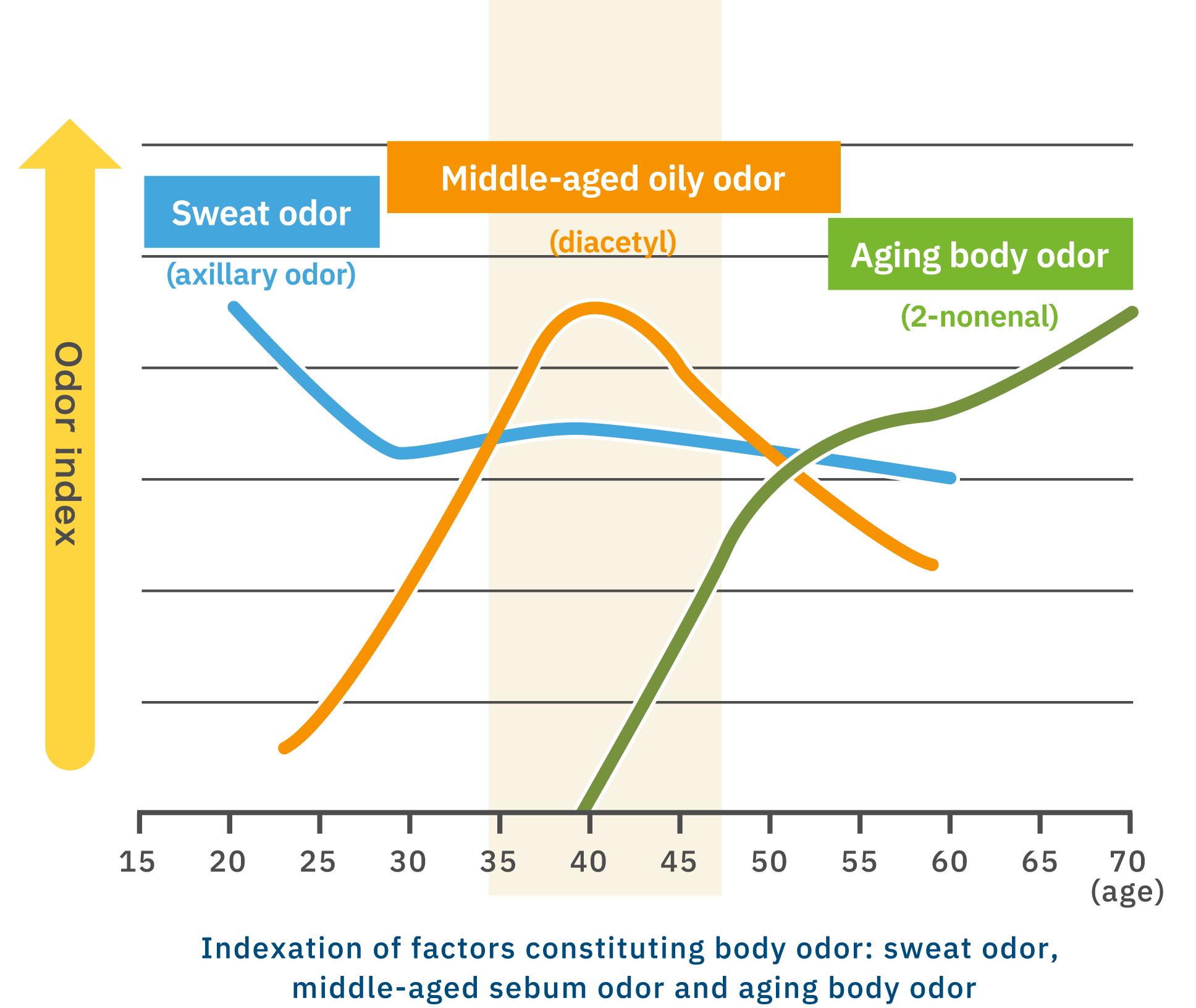 Indexation of factors constituting body odor: sweat odor, middle-aged sebum odor and aging body odor