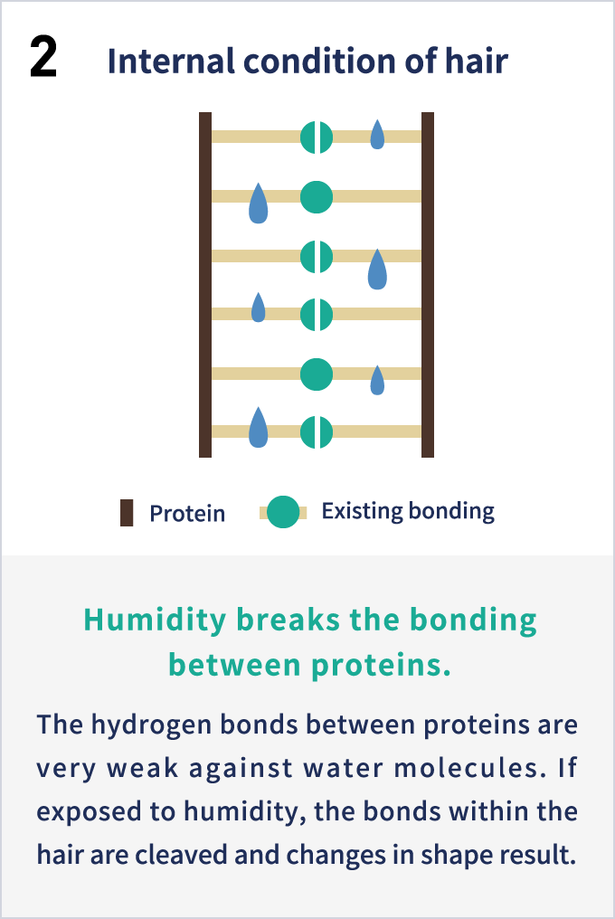 2Internal condition of hair
