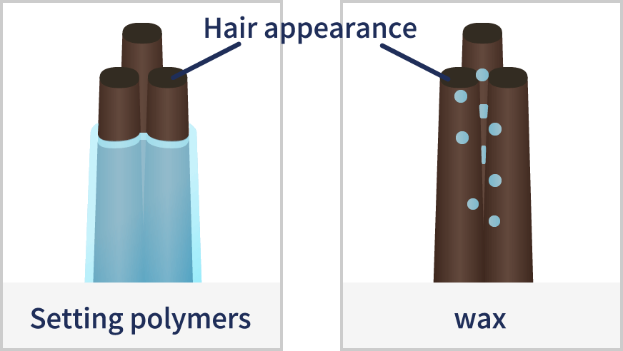 Hair appearance/Hair cross-section