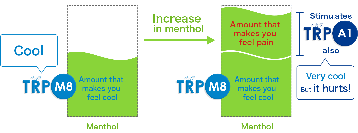 Menthol and TRP channels