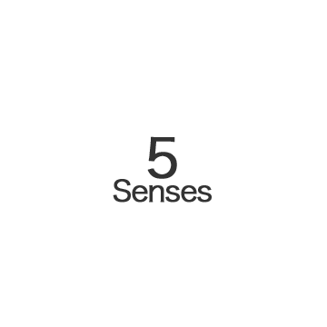 Five Senses