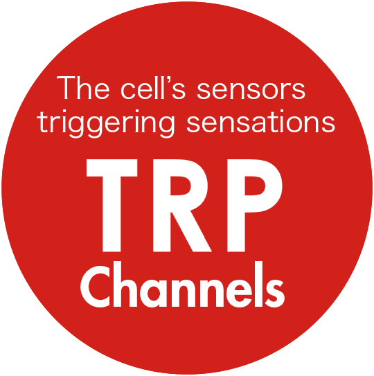 The cell's sensors triggering sensations TRP Channels