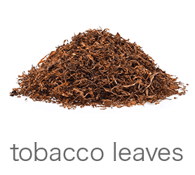 tobacco leaves