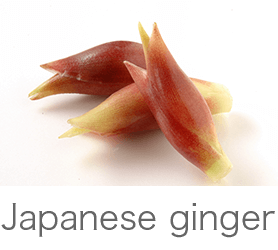 japanese ginger