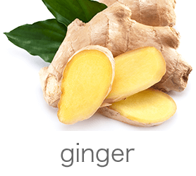 ginger