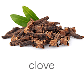 cloves