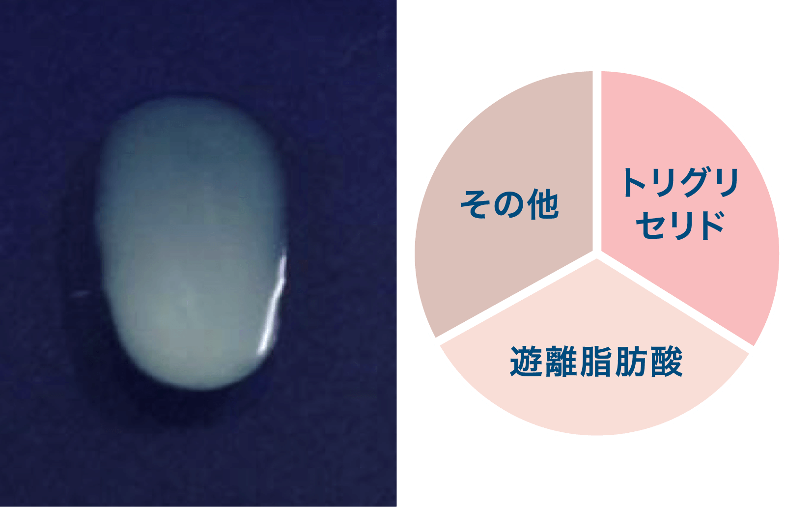 ヤング層の頭皮脂の写真と成分バランス