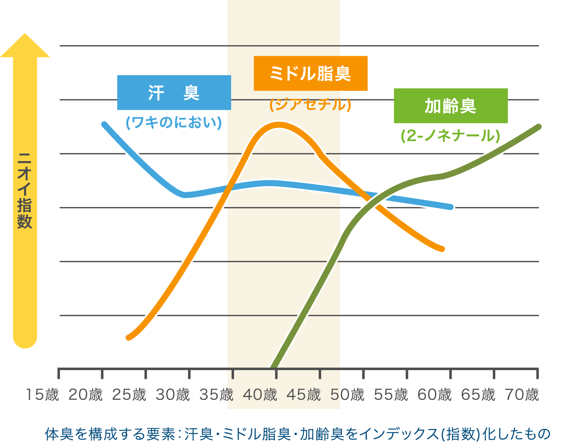 体臭を構成する要素：汗臭・ミドル脂臭・加齢臭をインデックス(指数)化したグラフ