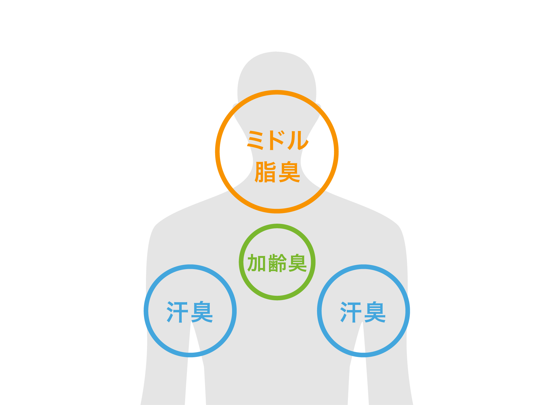 30代半ば～50代半ばのニオイの発生箇所