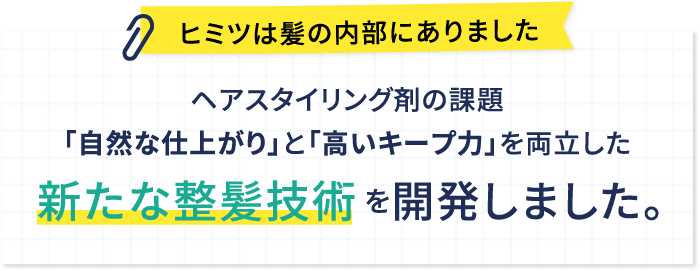 ヒミツは髪の内部にありました