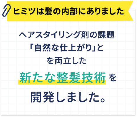 ヒミツは髪の内部にありました