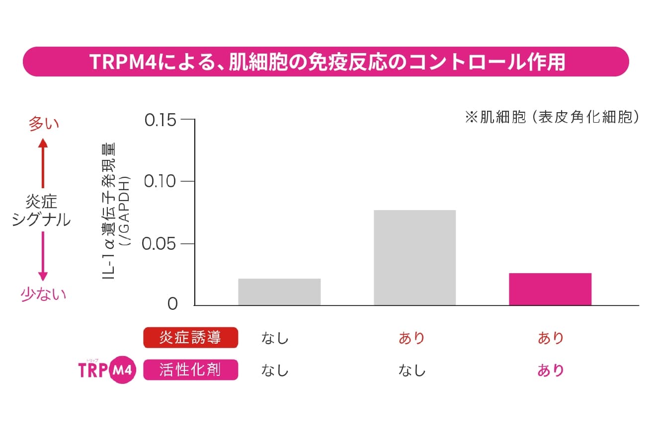 TRPM4による、肌細胞の免疫反応コントロール作用グラフ