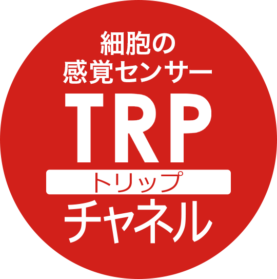 細胞の感覚センサー TRP(トリップ)チャネル