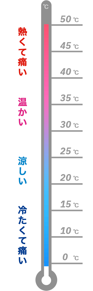 TRPV1 熱くて痛い TRPM4 温かい TRPM8 涼しい TRPA1 冷たくて痛い