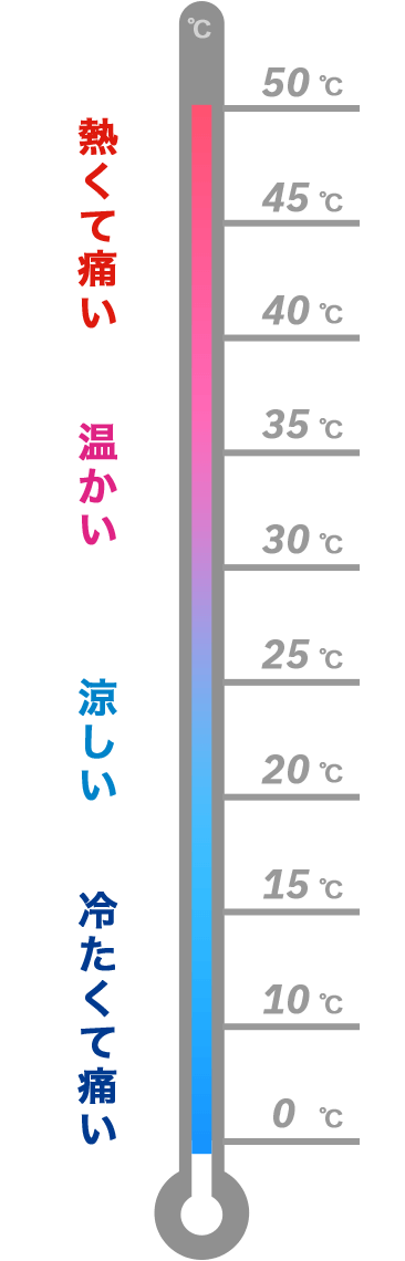 TRPV1 熱くて痛い　TRPM4 温かい　TRPM8 涼しい　TRPA1 冷たくて痛い