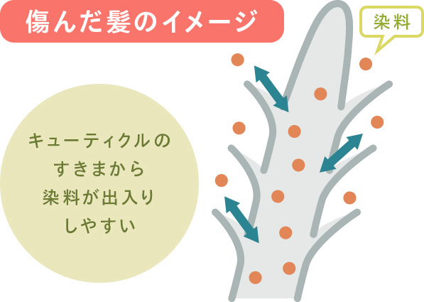 @@alt3@@ @@alt3@@