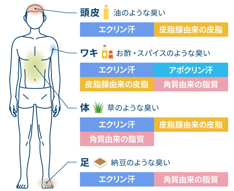 臭いの種類と材料