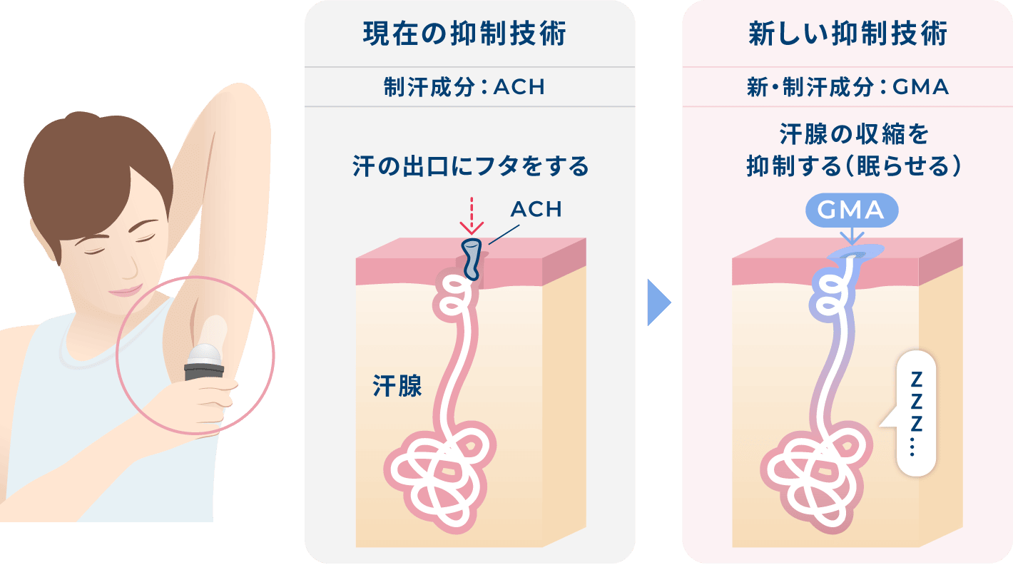 汗を抑えるメカニズム（従来成分ACHと新制汗成分GMA)