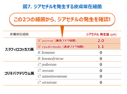 図7 ジアセチルを発生する皮膚常在細菌