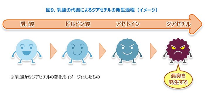 図9 乳酸の代謝によるジアセチルの発生過程（イメージ）